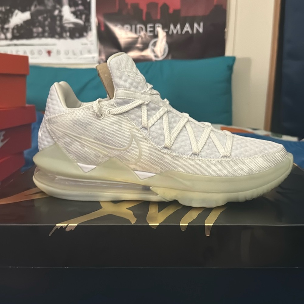 Lebron 17s low